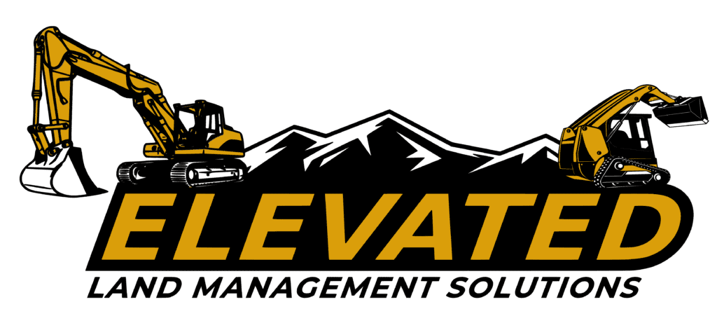 Elevated Logo 2 colors